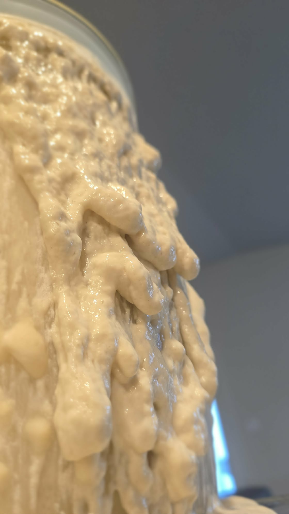 Close-up of Eva's active sourdough starter, full of bubbles after feeding.